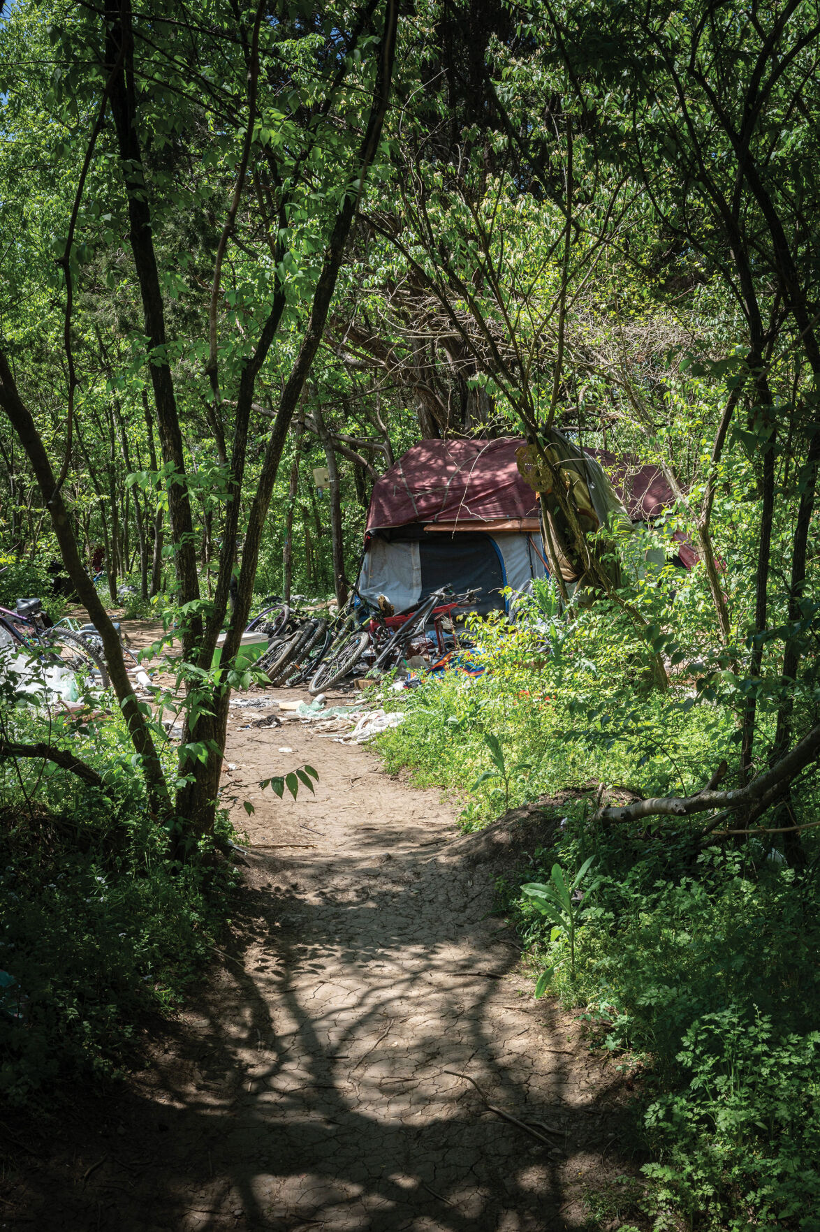 newsMadisionHomeless2-6706.jpg